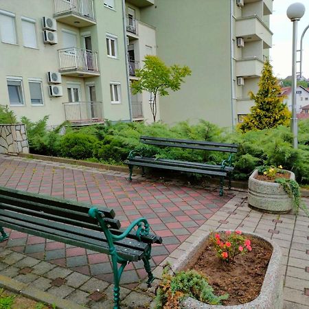 Apartman Jovanovic Vrnjačka Banja Exteriér fotografie