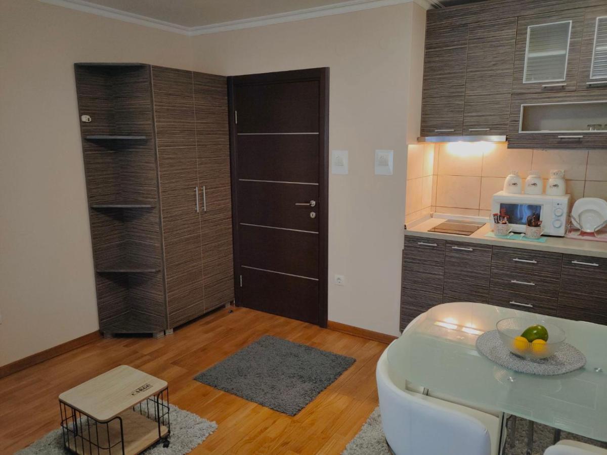 Apartman Jovanovic Vrnjačka Banja Exteriér fotografie
